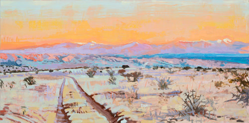 Cholla Meadow Oil Painting by Shawn Demarest